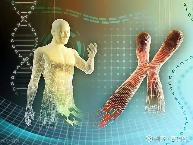 追寻人类起源三个活动_追溯人类起源 策划出活动的过程_起源和追溯